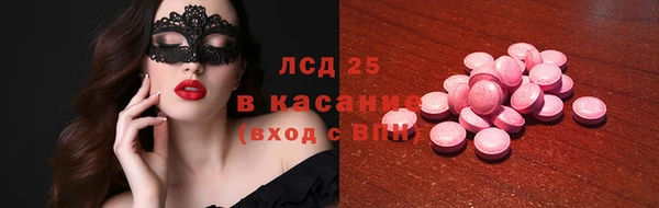 PSILOCYBIN Строитель