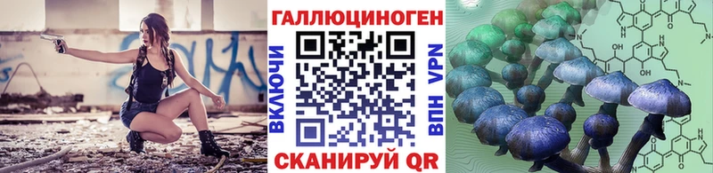 Галлюциногенные грибы Magic Shrooms  Купить где  Изобильный 